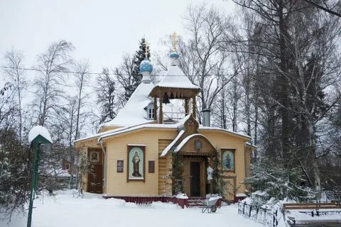 Пушкине новая деревня