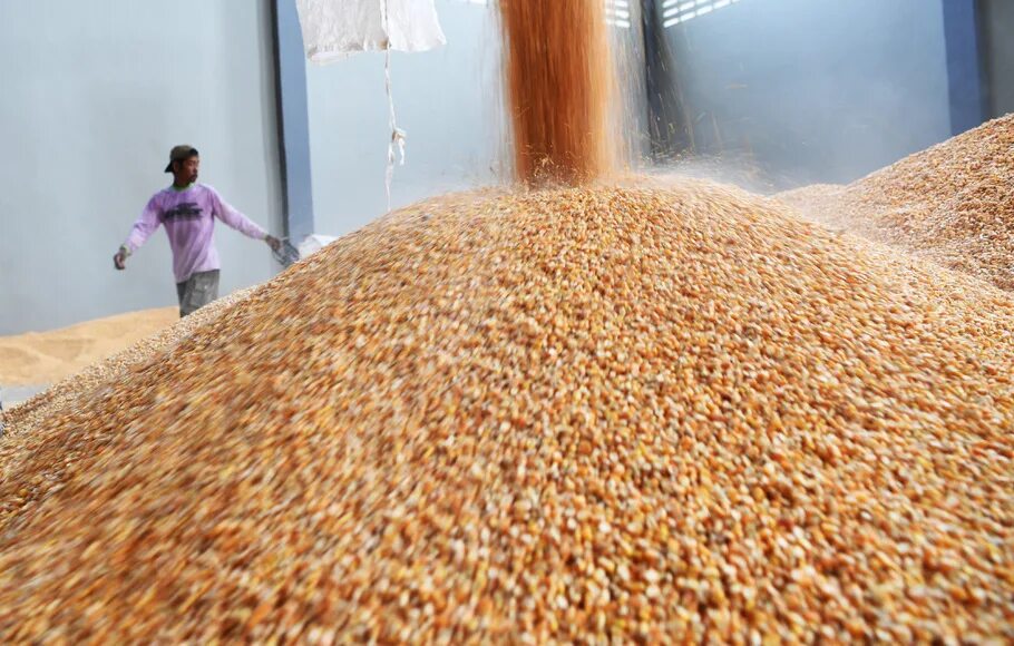 Many corns. Many corns