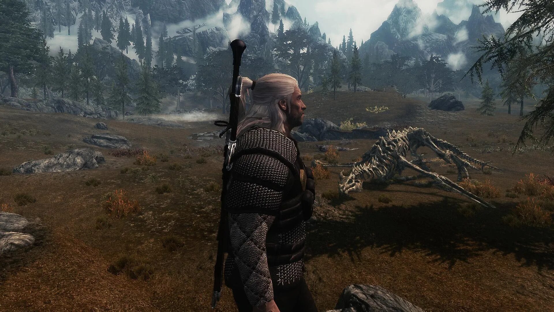 Skyrim мод ведьмак. Skyrim witcher 3 armor. скайрим мод броня ведьмака. witcher 3 armor skyrim mod. скайрим мод ведьмак.
