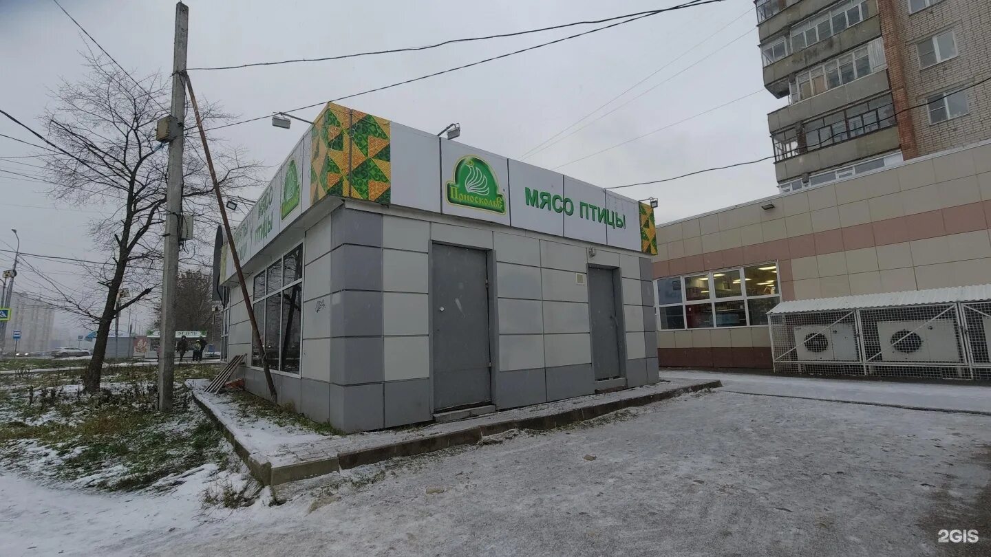 Панорама: Вологодская Корзинка, магазин продуктов, 10, корп. 2, 1-й микрорайон Г