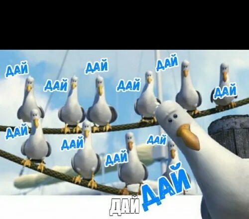 Хочу песню дай дай дай. Дай дай дай дай мем. Хочу песню дай дай дай. Мем чайки дай дай дай. Хочу песню дай дай дай.