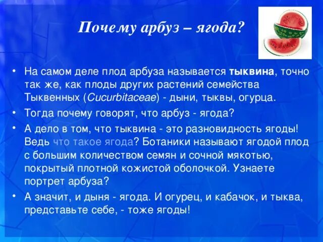 Почему арбуз ягода а дыня нет. Арбуз это ягода или фрукт. почему арбуз ягода. почему арбуз это ягода а не фрукт. арбуз это ягода или фрукт или овощ.