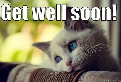 Get well soon фото с котиками. Feel better. Get well soon Мем. Картинка i feel good с котом.