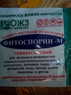 Пропорция фитоспорина