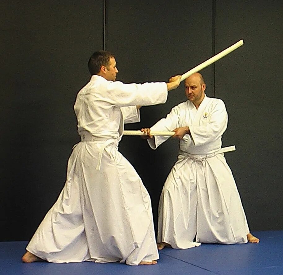 западные боевые искусства. боевые искусства список лучших. боевые искусства список лучших. корейские таэквондо спорт. уширо маваши гери.