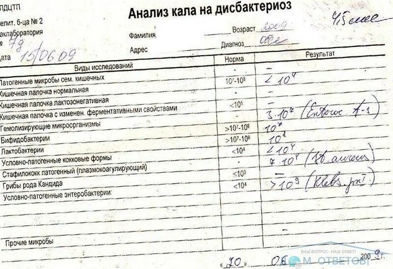 Бак посев кала на кишечную инфекцию. Бак посев кала и бактериологическое исследование кала. Бак исследование кала норма. Бакпосев кала у взрослого.