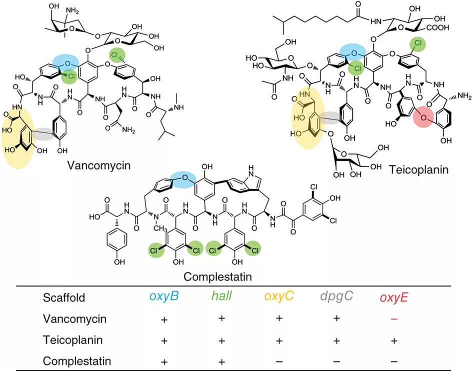 промышленный биосинтез заменимых аминокислот. продуцентами антибиотиков являются. конструирование продуцентов, микробиологический синтез. продуценты аминокислот. продуценты аминокислот.