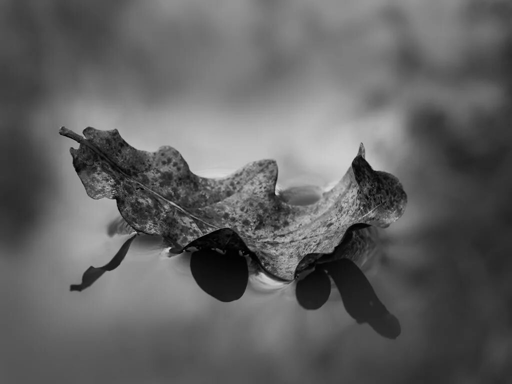 When you let me go. Let go of your love. Toxic people out of my life remix. Ennja let go. When you let me go.