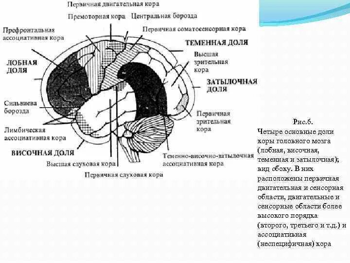 Ассоциативные системы