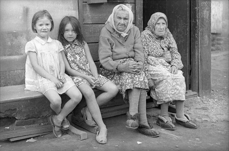 Кто держит волка за уши. Между тем Дзен