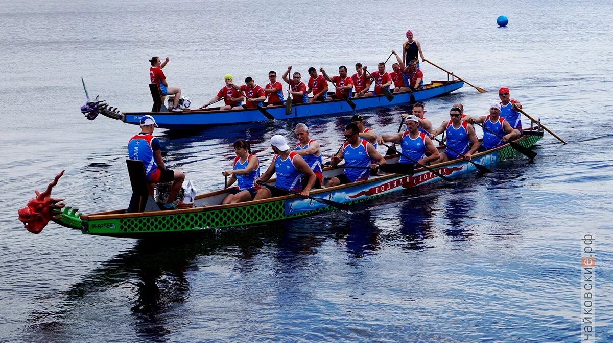 корпоративный тимбилдинг форт боярд. тимбилдинг квест на природе. спортивные и подвижные игры. регбисты воронеж. тимбилдинг форт боярд на корпоратив.