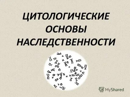 Тест основы наследственности