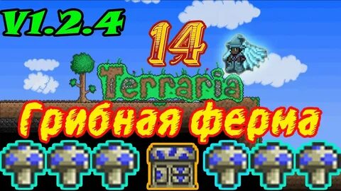Грибные семена террария