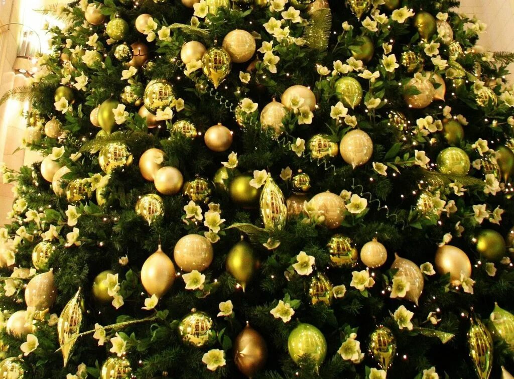 Как украсить елку в 2024 году дракона. Украшаем елку. Елка Новогодняя украшенная. Ель Новогодняя с золотыми шарами. Новогодняя елка с зелеными шарами.