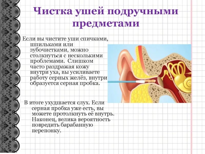 Как часто чистят уши людям. Rfr правильно чистить уши. Как правильно чистить уши человеку ватными палочками. Как часто чистят уши людям. Как часто чистят уши людям.