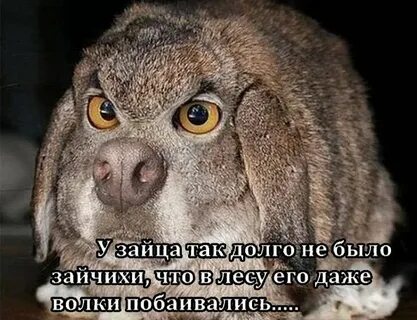 Если долго нет интимной жизни