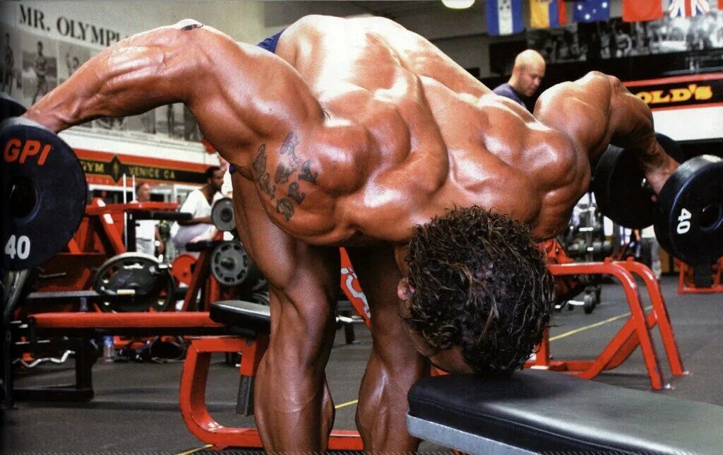 Джей катлер фото. Задний пучок дельт. Накаченный бицепс. Самый сильный человек в мире. Тренировка культуристов.