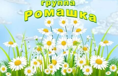 5 утра группа ромашки