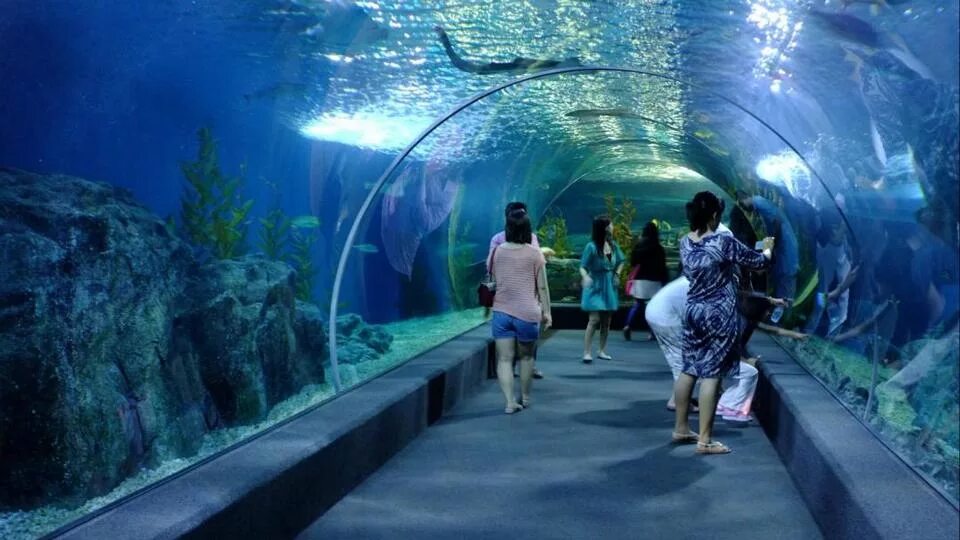 Сиам парагон океанариум. Океанариум Sea Life Bangkok. Siam Ocean World в Бангкоке. Океанариум Siam Ocean World Living Ocean. Отзыв sea life