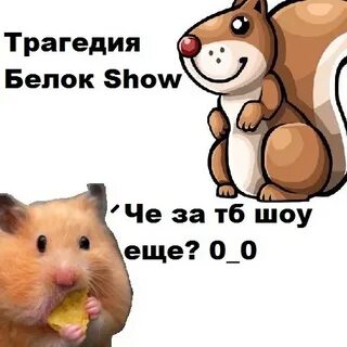 Белка шоу