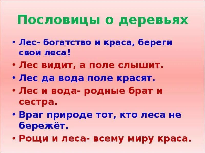 Человек природе пословица. Пословицы и поговорки о природе. Пословицы о природе. Пословицы и поговорки о лесе и деревьях. Пословицы о красоте природы.