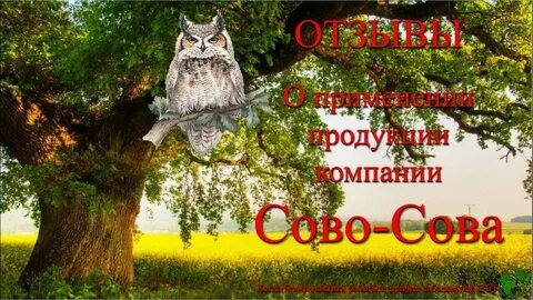 Компания сова сова продукция
