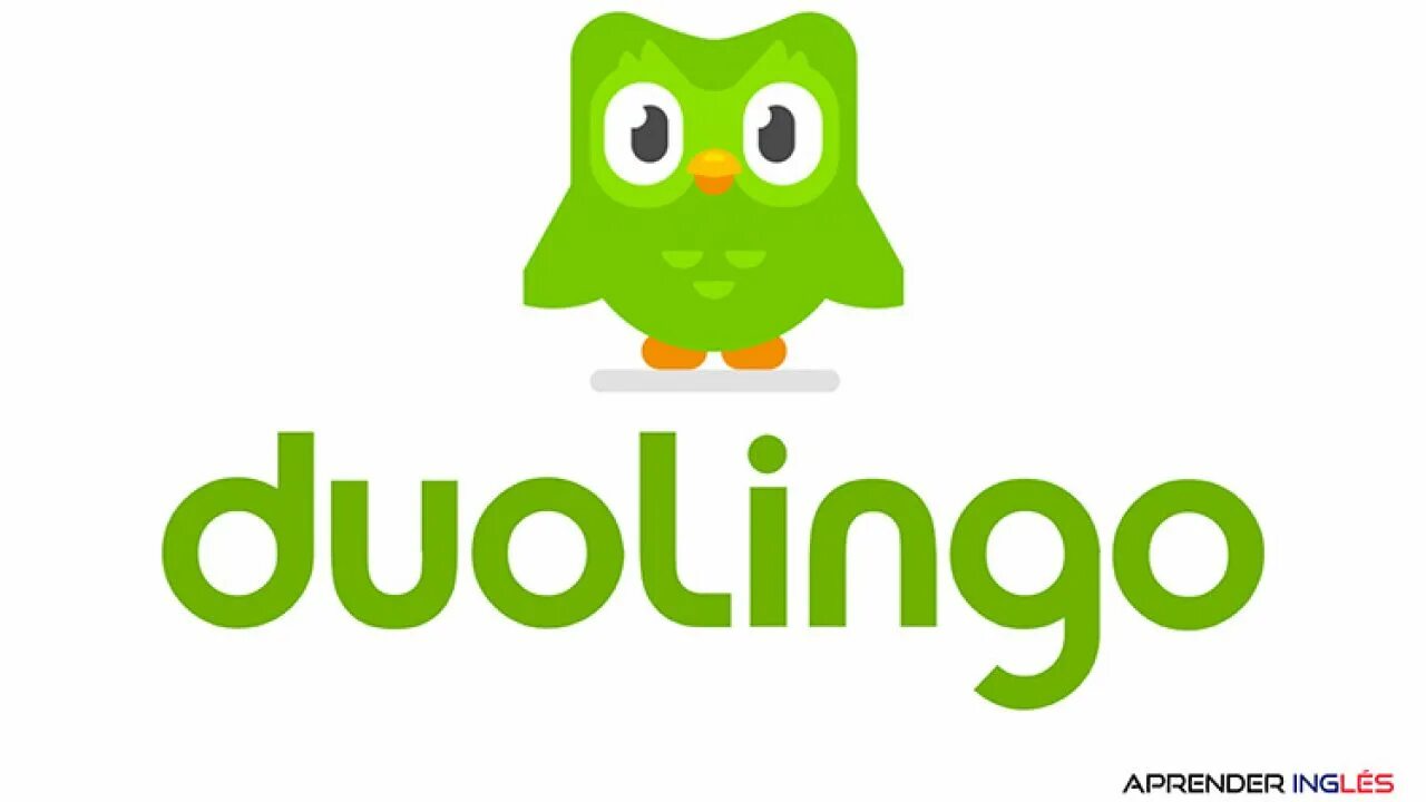 Создатель дуолинго. Дуолинго. Дуолинго английский. Duolingo приложение. Duolingo картинки.
