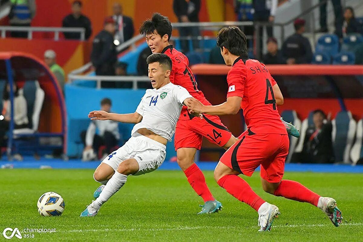 Кубок азии u 17 южная корея фото. Кубок азии прямой эфир южная корея. Кубок азии прямой эфир южная корея. Afc asian cup 2023. Сборная китая.