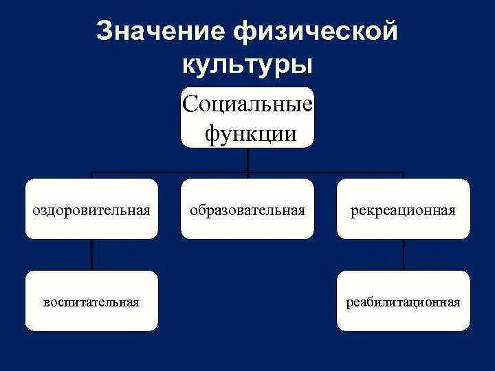 Спора выполняет функцию