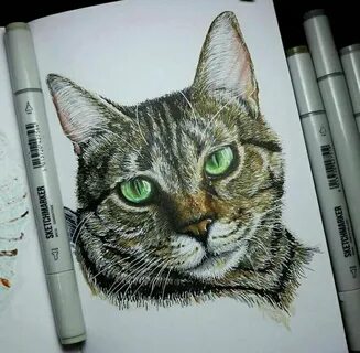 Нарисовать котика маркерами