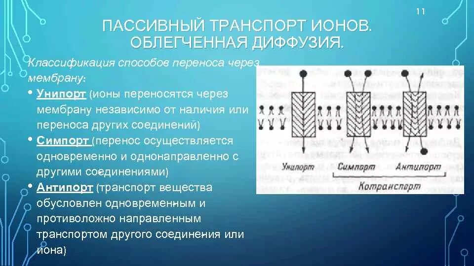 Какой вид мембранного транспорта показан на рисунке. Простая диффузия транспорт веществ через мембрану. Мембранный транспорт пассивный активный облегченный. Пассивный транспорт облегченная диффузия. Пассивный перенос веществ через мембрану.