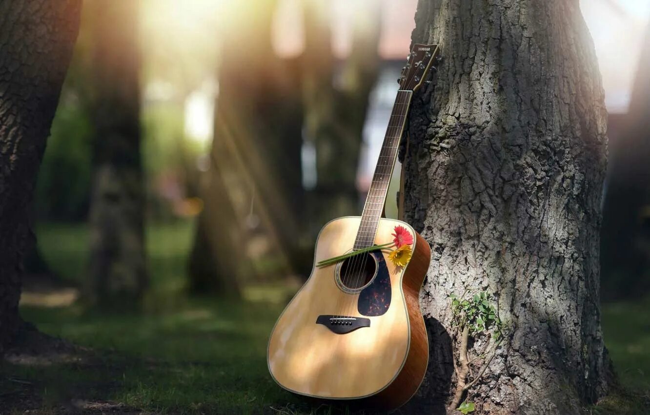 Фотосессия с гитарой на природе. Гитара в лесу. Гитара на природе. Электрогитара на природе.