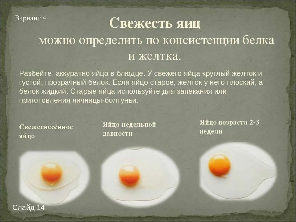 Почему болтается яйцо. Определить свежесть яиц. определение свежести яиц. свежее яйцо.