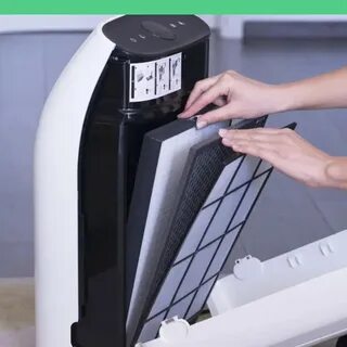 feedback Openly Prove do air purifiers help with dry air Dismissal intermittent 