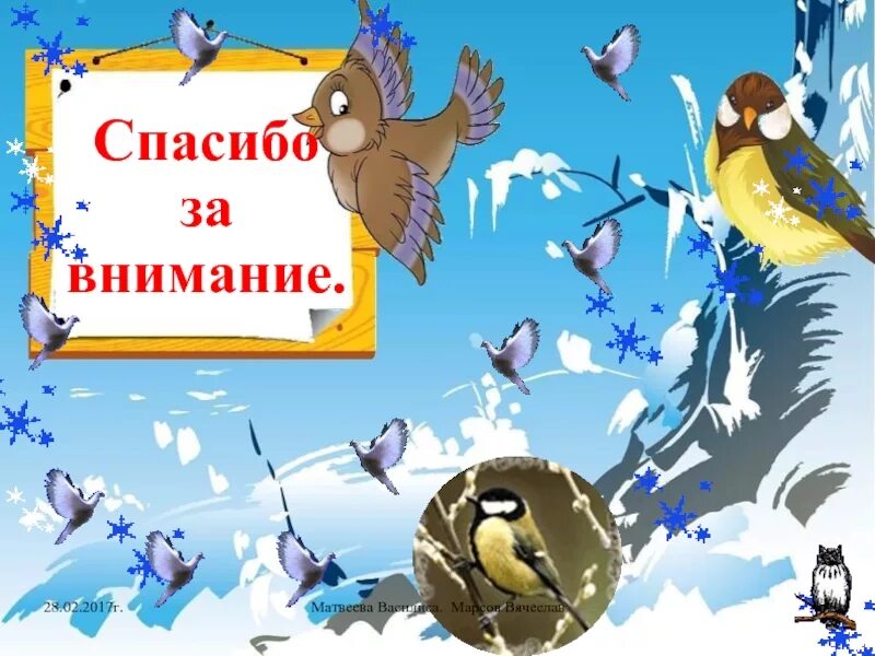 Спасибо за внимание птицы. Спасибо за внимание птицы зимой. Птицы для презентации. Фон для проекта птицы.