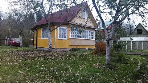 Витебский красницы