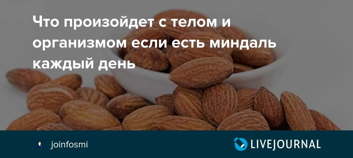 Норма миндаля. Горький миндаль. Если съедать каждый день миндаль. Горький и сладкий миндаль. Миндаль польза.