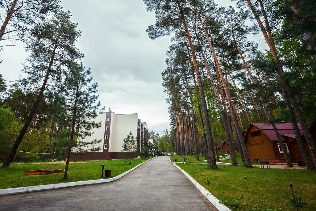 Парк премьера алексин. Егнышевка тульская область. Парк премьера алексин. Егнышевка зимой. Парк отель премьера алексин.