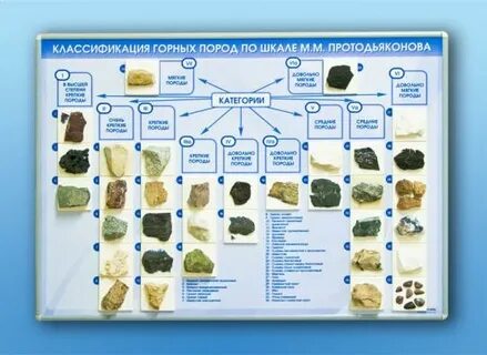 Ерлерде транссексуалдар үстемдік етеді