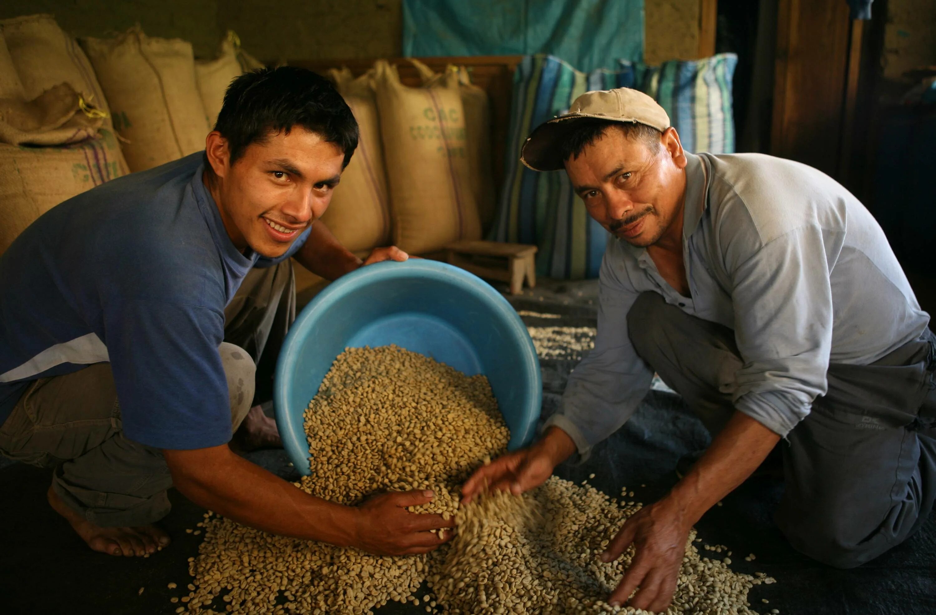 Крестьянское фермерское хозяйство. Фермер в деревне. Фермер с нуля. Фермер с нуля. Фермер с нуля.