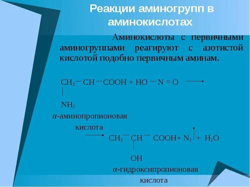 Реакция аминокислот с азотистой кислотой. Взаимодействие аминокислот с азотистой кислотой. 2-Аминопропионовая кислота+азотная кислота. Аминопропионовая кислота и азотистая кислота. Бензол реагирует с аминоуксусной кислотой