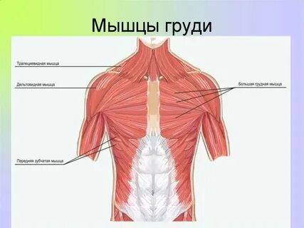Расположением выше