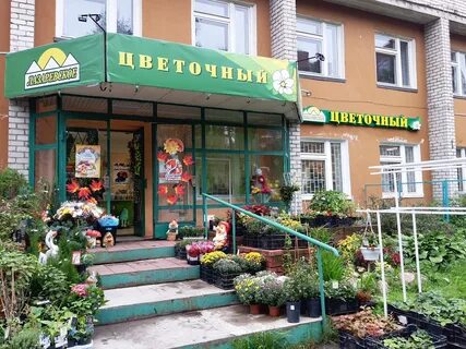 Цветы цветковых ярославль