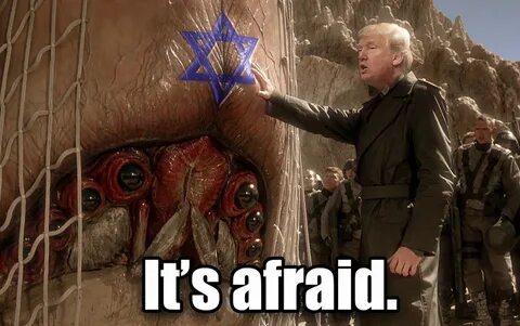 They are afraid of