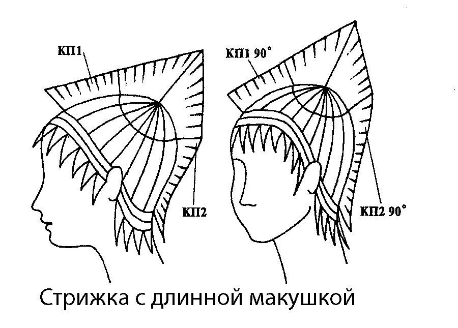 Стрижка волчица схема стрижки. Технология стрижки итальянка. Каскад схема стрижки теменной зоны. Женская стрижка итальянка технология выполнения. Стрижки на средние волосы схема