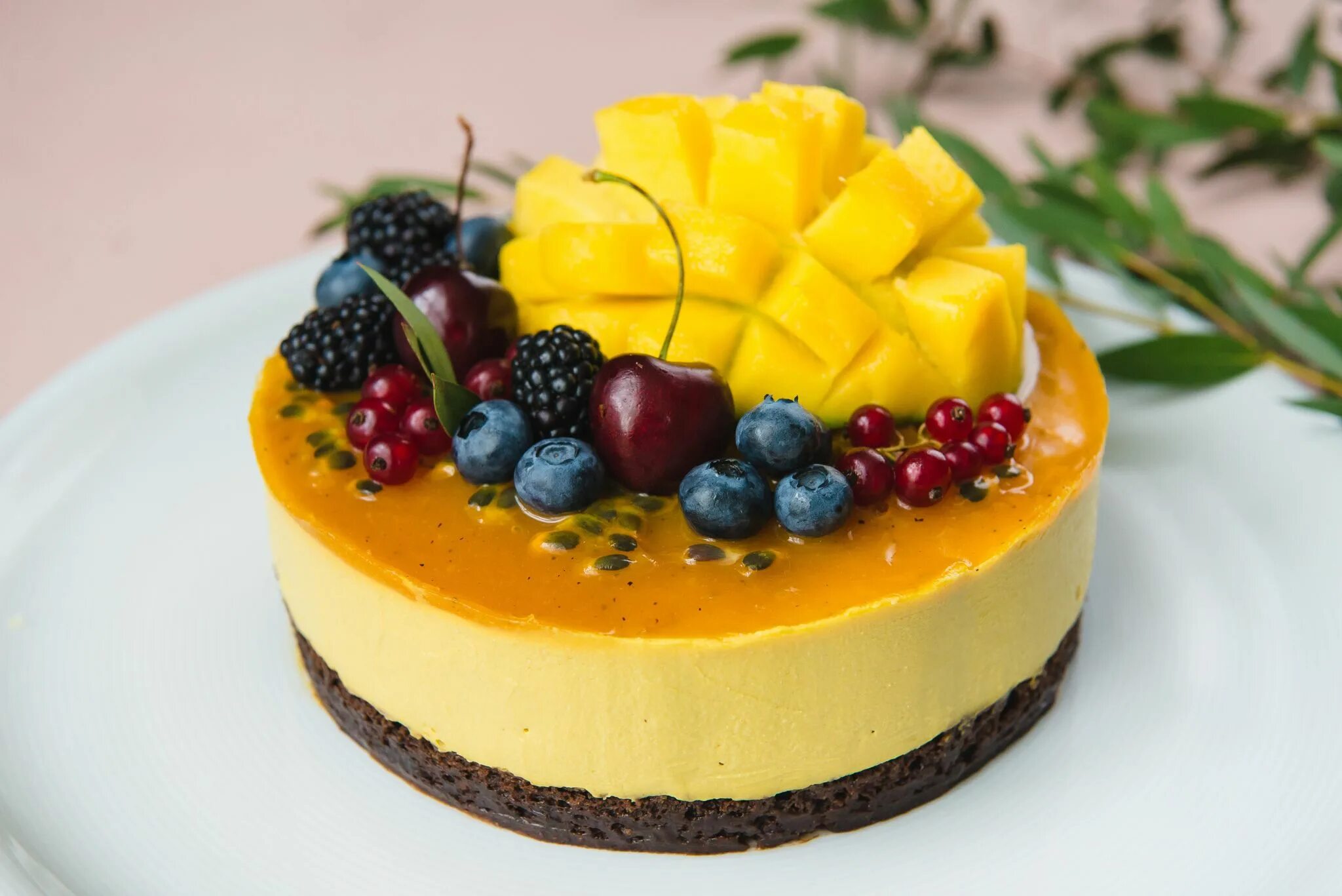 чизкейк нью-йорк с желе. чизкейк / cheesecake. творожный чизкейк без выпечки. чизкейк с желатином. чизкейк с вишнёвым конфи.