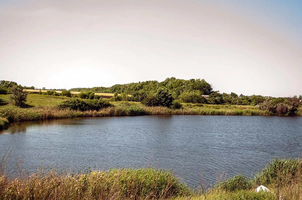 Бобровские дачи 7 прудов. Гостиница старая купавна рыбхоз. Чалтырь озеро. Семь прудов. Площадь водоема.