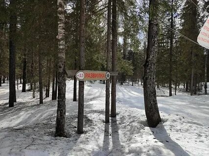Эстет развилка
