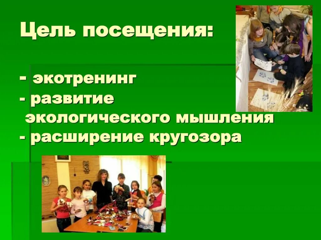 Формирование экологического мышления. Цель посещения музея. развитие экологического мышления. цель посещения музея школьниками. цель посещения музея дошкольниками.