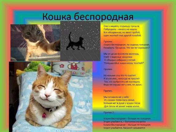 Беспородная ты сидишь голодная. Беспородные кошки. Стихи о беспородных кошках. Стих кошка бес. Кошка беспородная текст.